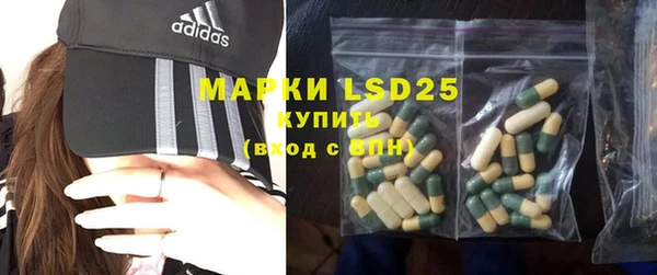 spice Инсар