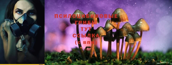 каннабис Инта