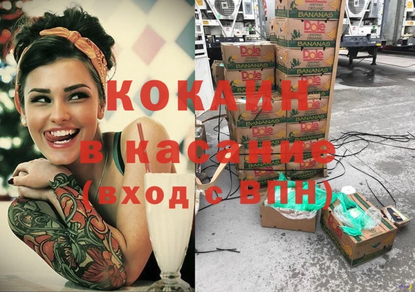 spice Инсар