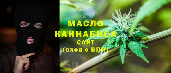spice Инсар