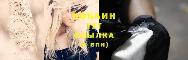 spice Инсар
