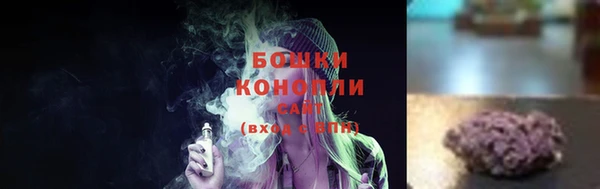 spice Инсар