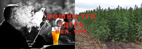 spice Инсар