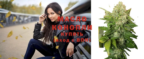 spice Инсар